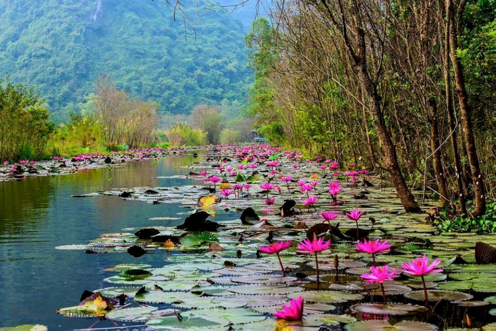 Pilgrims and tourists alike can enjoy the beauty of the river